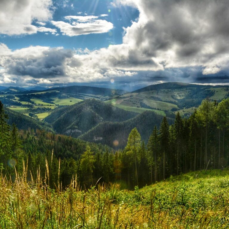 Milujem Slovensko