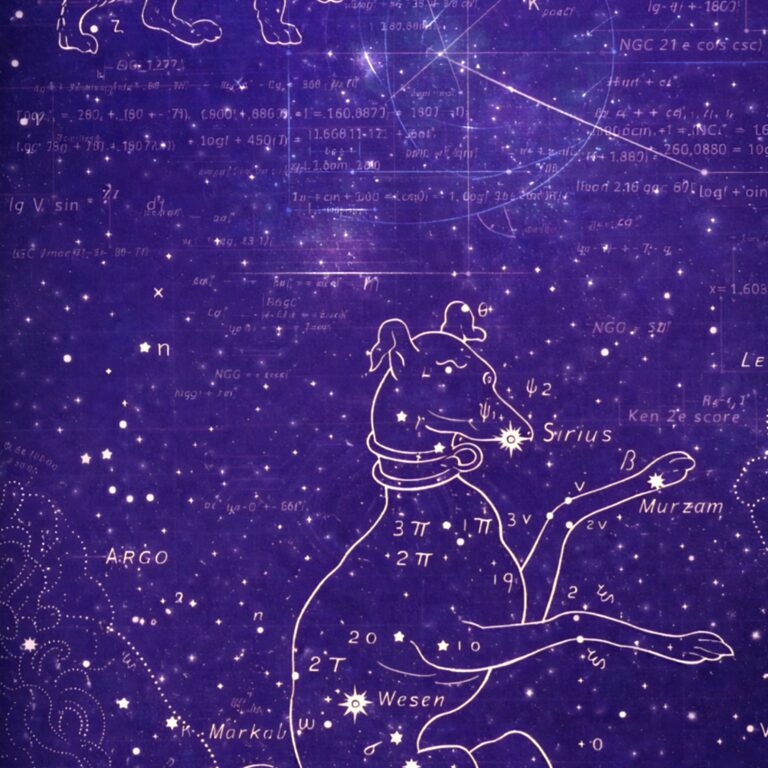 Čudná príhoda so psom uprostred noci