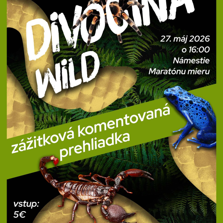 Divočina – zážitková komentovaná prehliadka