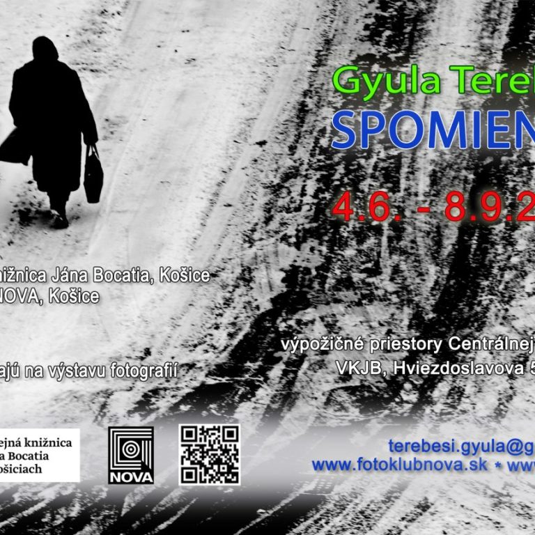 Gyula Terebesi: Spomienky – výstava