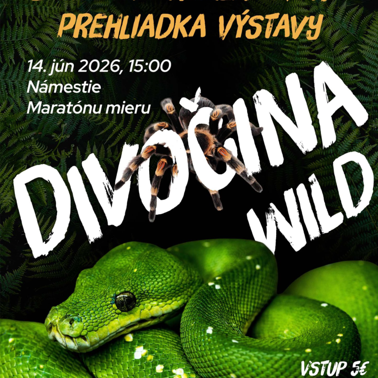 Divočina – zážitková komentovaná prehliadka