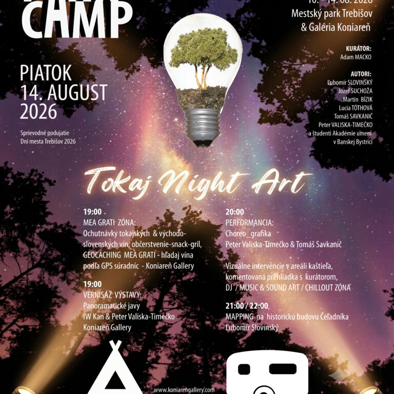 PARK CAMP 12 – Tokaj Night Art