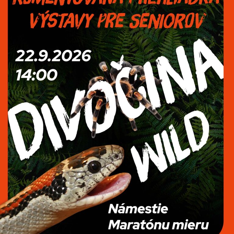 Divočina – pre seniorov