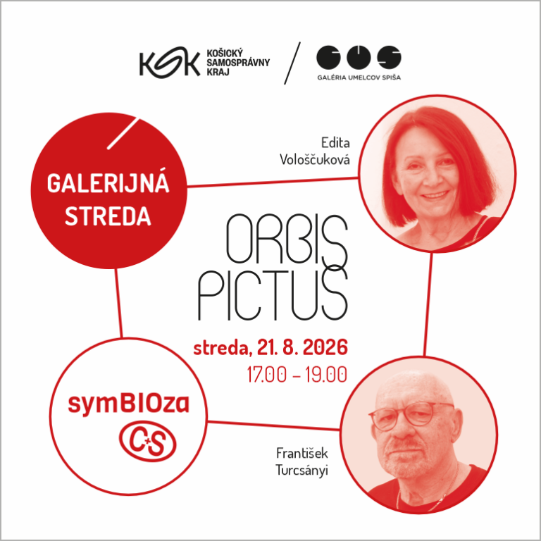 Orbis Pictus / Rozhovory o umení: Život v sieti