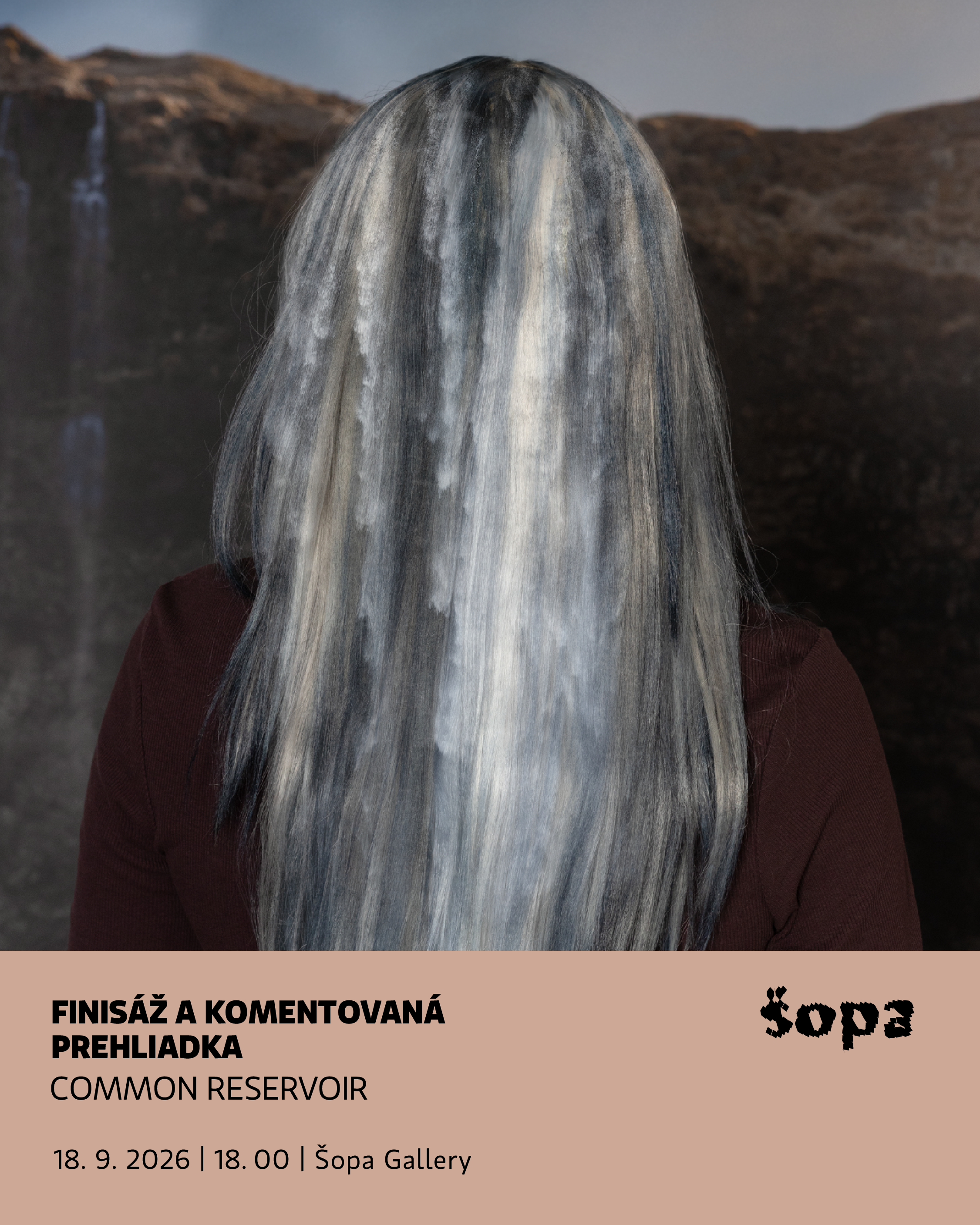 Plagát: Common Reservoir | finisáž a komentovaná prehliadka