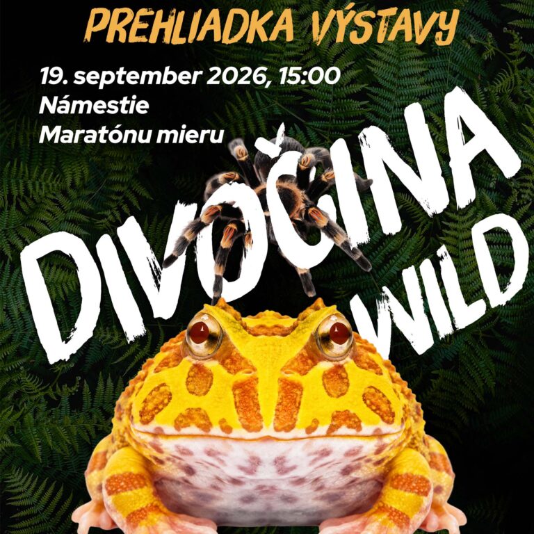 Divočina – zážitková komentovaná prehliadka