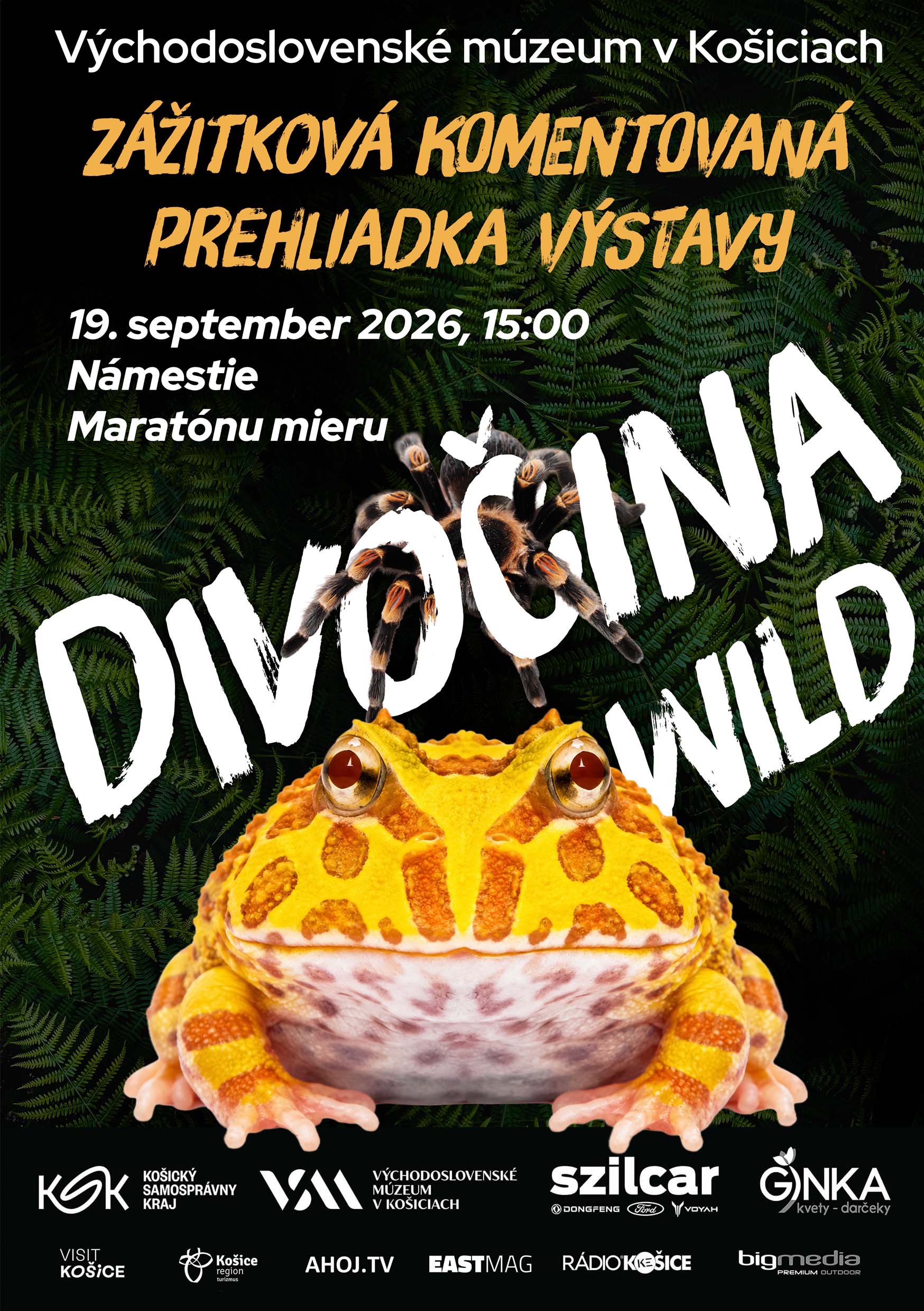 Foto: Divočina – zážitková komentovaná prehliadka